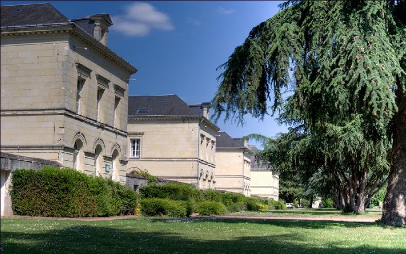 Domaine De Roiffe Hotel Exterior foto